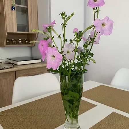 Zeino Place * Köstence