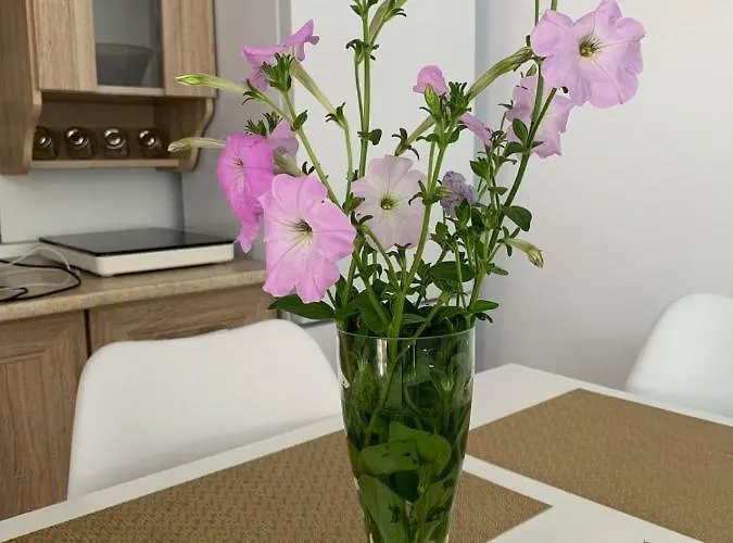 Zeino Place * コンスタンツァ